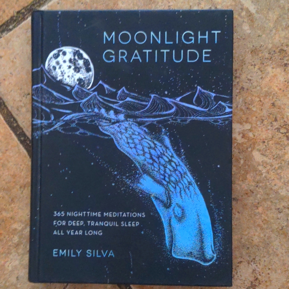 Moonlight Gratitude 365 Art Meditation Sleep Book, Beautiful! Emily Silvia